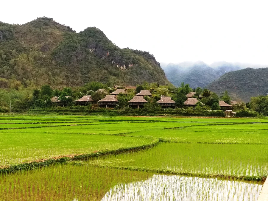 Bản nhà sàn của đồng bào Thái Tây Bắc, không gian sinh thành và diễn xướng những bài hát ru