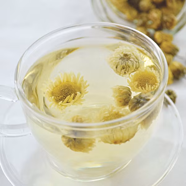 hoa-cuc-chong-oxy-hoa-khang-khuan-1