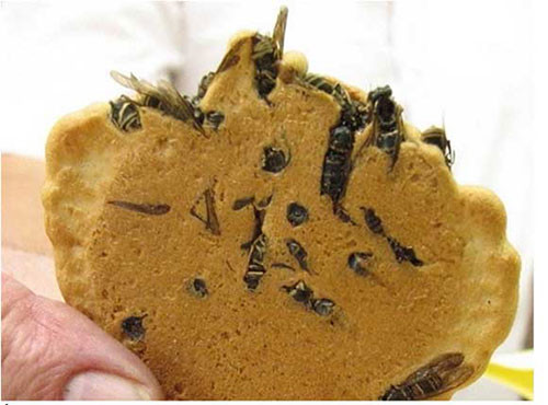 10 mon an truyen thong khien du khach “hoang hon” hinh anh 6