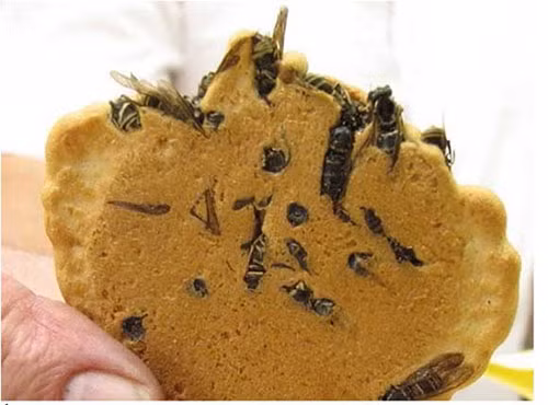 10 mon an truyen thong khien du khach “hoang hon” hinh anh 6