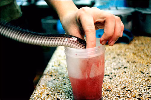 10 mon an truyen thong khien du khach “hoang hon” hinh anh 3