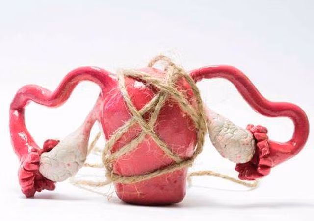 ba viec lam cua phu nu gay ton thuong cho tu cung, rat nhieu nguoi mac phai - 1