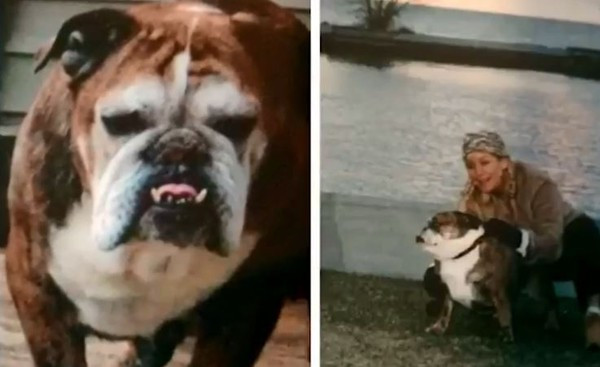 Xót xa người phụ nữ 11 năm sống với một lỗ mũi ảnh 3 Xót xa người phụ nữ 11 năm sống với một lỗ mũi