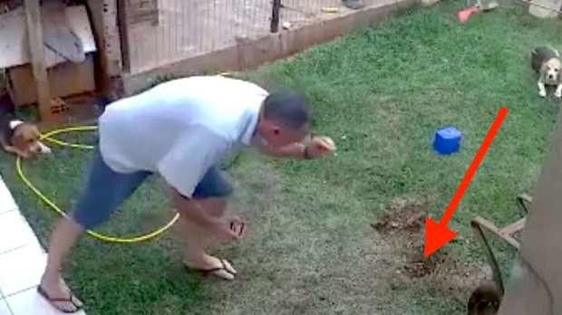 Chỉ với một que diêm và một nắp xăng nhỏ, ông Schmitz đã thổi bay cả khu vườn nhỏ của mình.