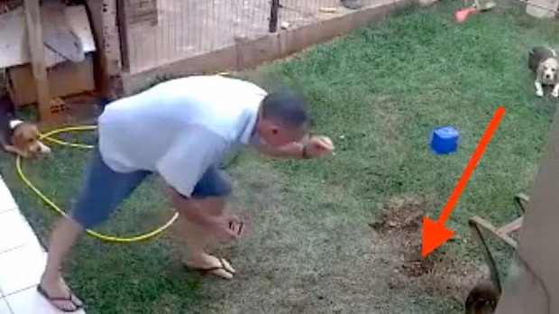 Chỉ với một que diêm và một nắp xăng nhỏ, ông Schmitz đã thổi bay cả khu vườn nhỏ của mình.