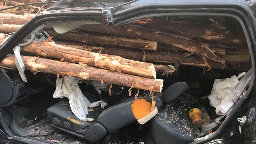 xe bi hang loat cay go dam xuyen kinh hoang tu truoc ra sau, tai xe van may man song sot hinh anh 3