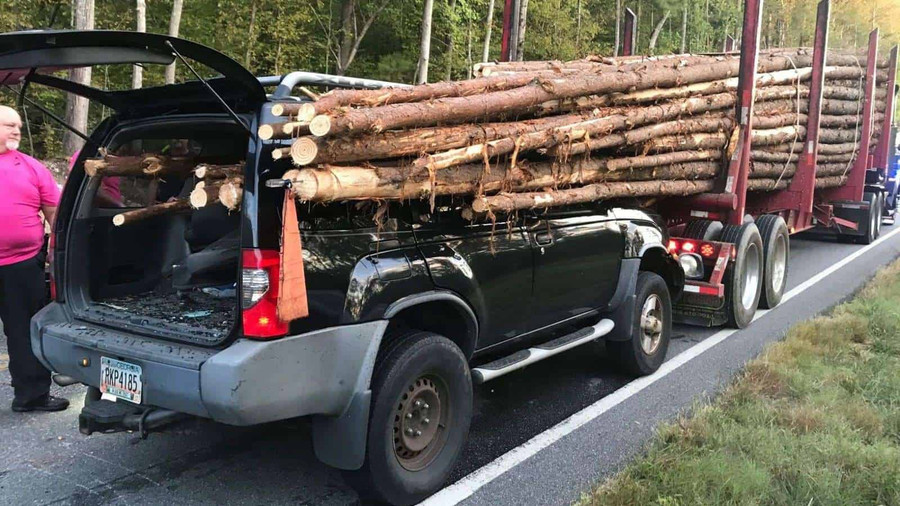 xe bi hang loat cay go dam xuyen kinh hoang tu truoc ra sau, tai xe van may man song sot hinh anh 2