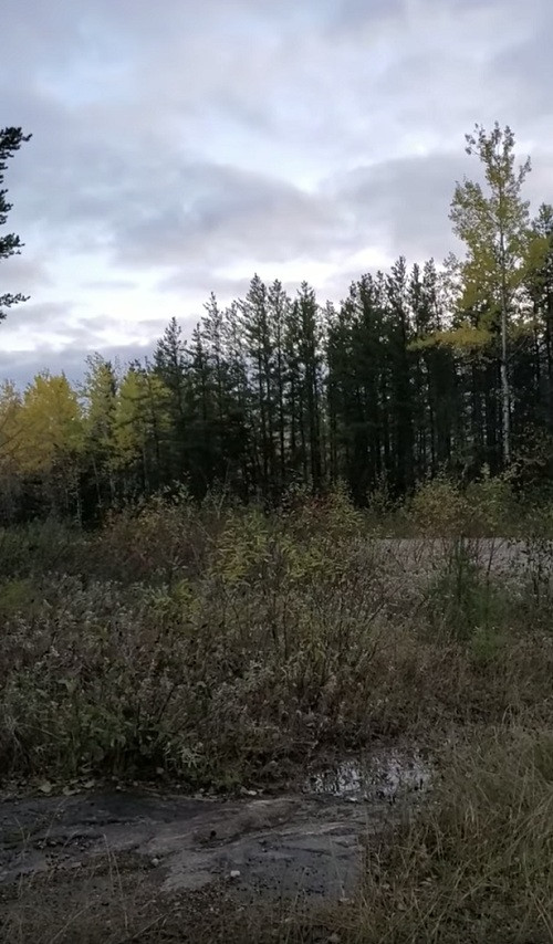 Video: Lộ diện bằng chứng mới về quái vật chân to huyền thoại? hình ảnh 1 video: lo dien bang chung moi ve quai vat chan to huyen thoai? hinh anh 1