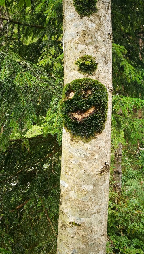 Rong riêu cũng biết mỉm cười.