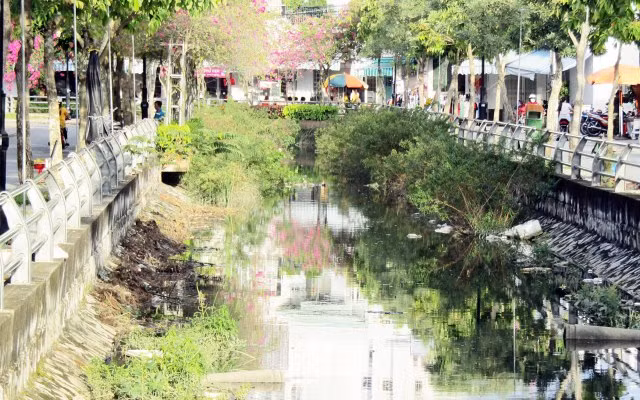 Dòng chảy con rạch bị cây cỏ, rác thải lấn chiếm (ảnh chụp ngày 14/9)