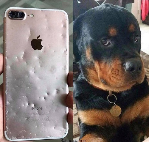 Không phải em, nào đâu phải em.