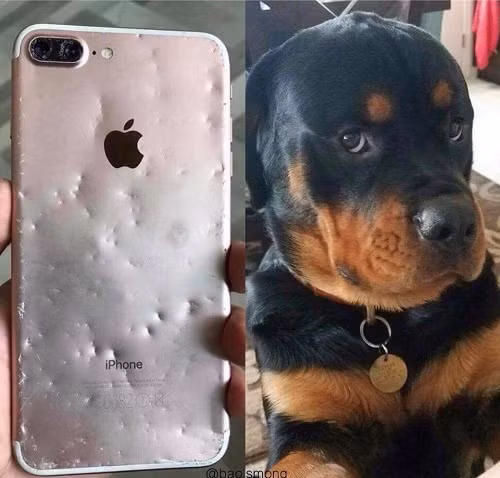 Không phải em, nào đâu phải em.