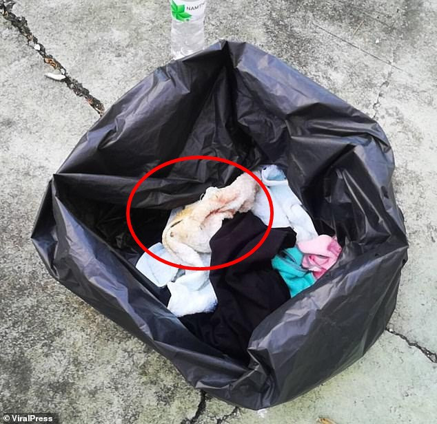 16768096-7310491-He_was_discovered_by_a_local_wrapped_in_a_rubbish_bag_with_what_-m-165_1564667653313 16768096-7310491-He_was_discovered_by_a_local_wrapped_in_a_rubbish_bag_with_what_-m-165_1564667653313