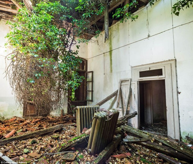 Tuy nhiên do nghĩ đây là triệu chứng của căn bệnh tâm thần nên lời nói của các bệnh nhân đều không được để ý.