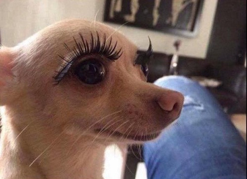 Nỗi buồn vương trên hàng mi héo hắt. 10-anh-hai-hot-nhat-facebook-trong-ngay-1