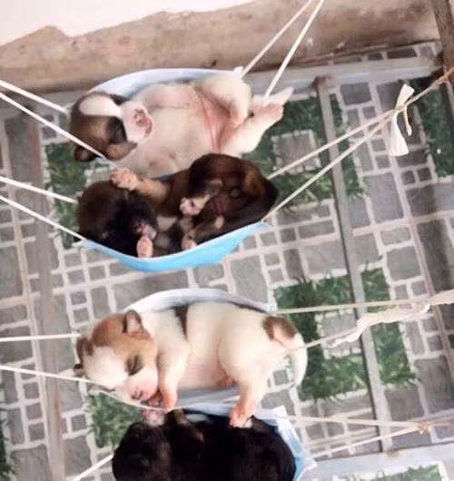 10-anh-hai-hot-nhat-facebook-trong-ngay-4