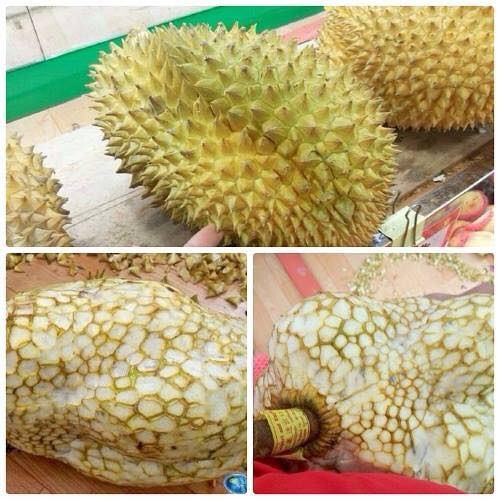 Sầu riêng không gai. 10-anh-hai-hot-nhat-facebook-trong-ngay-3