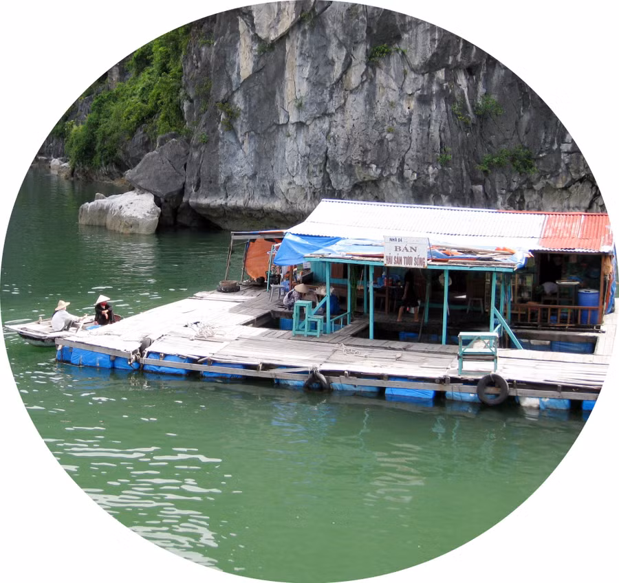 Nhà bè kinh doanh vùng đệm vịnh Hạ Long