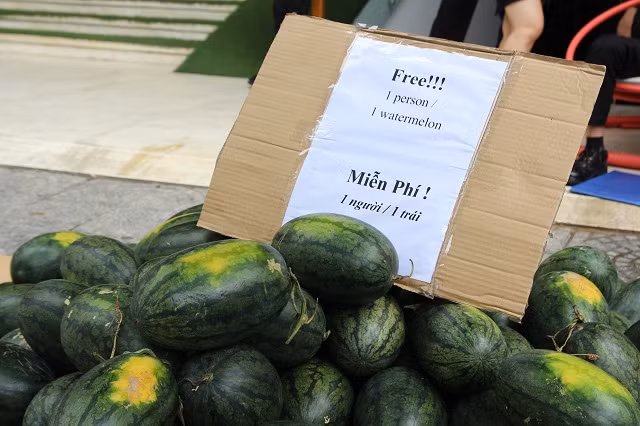 Tấm biển với nội dung “Miễn phí – mỗi người 1 quả” được đặt ngay ngắn.