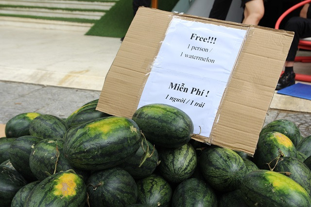 Tấm biển với nội dung “Miễn phí – mỗi người 1 quả” được đặt ngay ngắn.