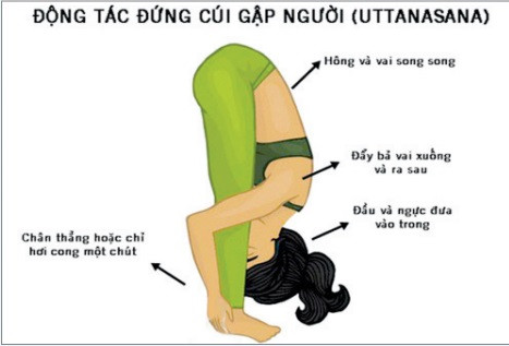 5 bài tập đơn giản giúp đẩy lùi bệnh tật 6 5-bai-tap-don-gian-giup-day-lui-benh-tat-6