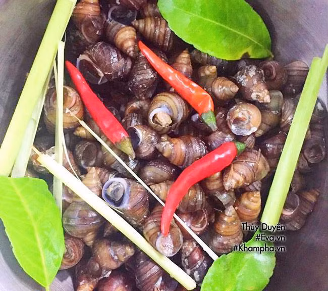 Cách luộc ốc ngon, tươi giòn tuyệt hảo