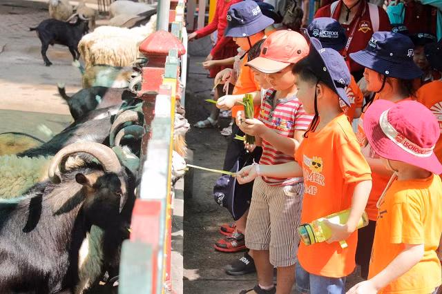 Cùng nhau tham quan vườn thú với những người bạn nhỏ đáng yêu