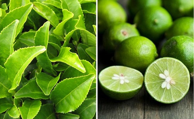 5 cặp thực phẩm vừa ngon vừa rẻ, kết hợp với nhau ung thư cũng phải tránh xa ảnh 2 image007-10