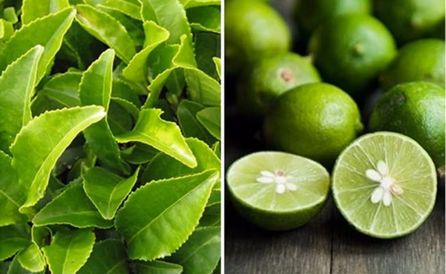 5 cặp thực phẩm vừa ngon vừa rẻ, kết hợp với nhau ung thư cũng phải tránh xa