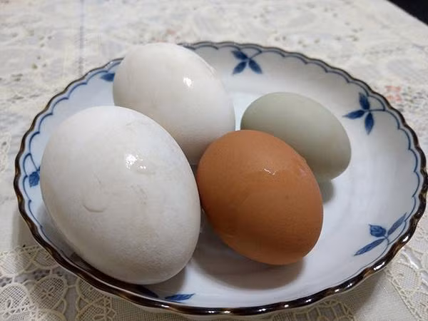 3 mon an giup ba bau thai doc, em be sinh ra khong bi vang da - 2