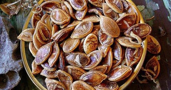 Hạt giống được chôn cất nghìn năm vẫn nảy mầm, khi thu hoạch điều bất ngờ đã xảy ra - Ảnh 2. Hạt giống được chôn cất nghìn năm vẫn nảy mầm, khi thu hoạch điều bất ngờ đã xảy ra - Ảnh 2.