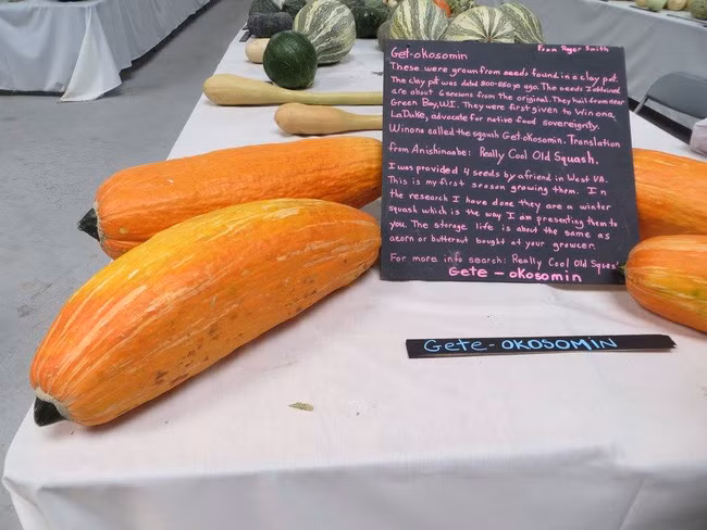 Hạt giống được chôn cất nghìn năm vẫn nảy mầm, khi thu hoạch điều bất ngờ đã xảy ra - Ảnh 4.