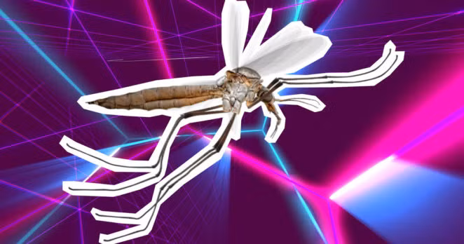 Cuộc sống muôn màu