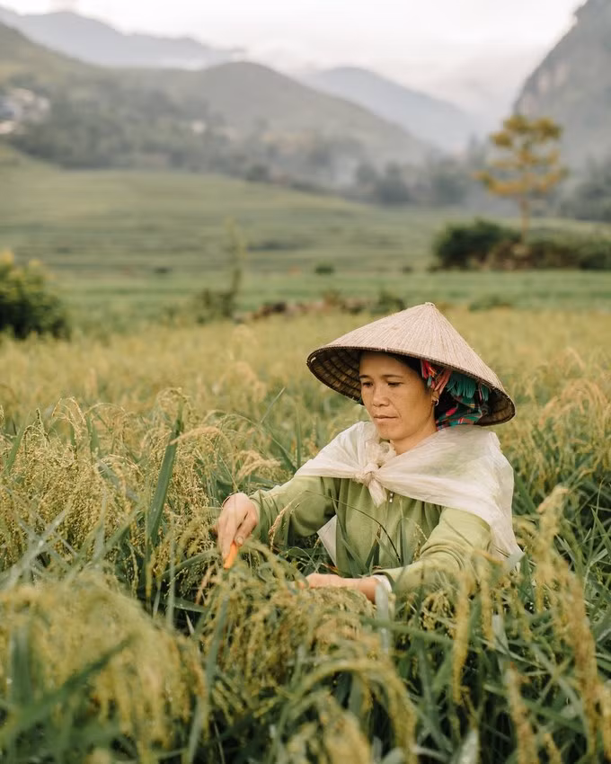 Bắc bộ cảm xúc qua ống kính nhiếp ảnh gia nước ngoài