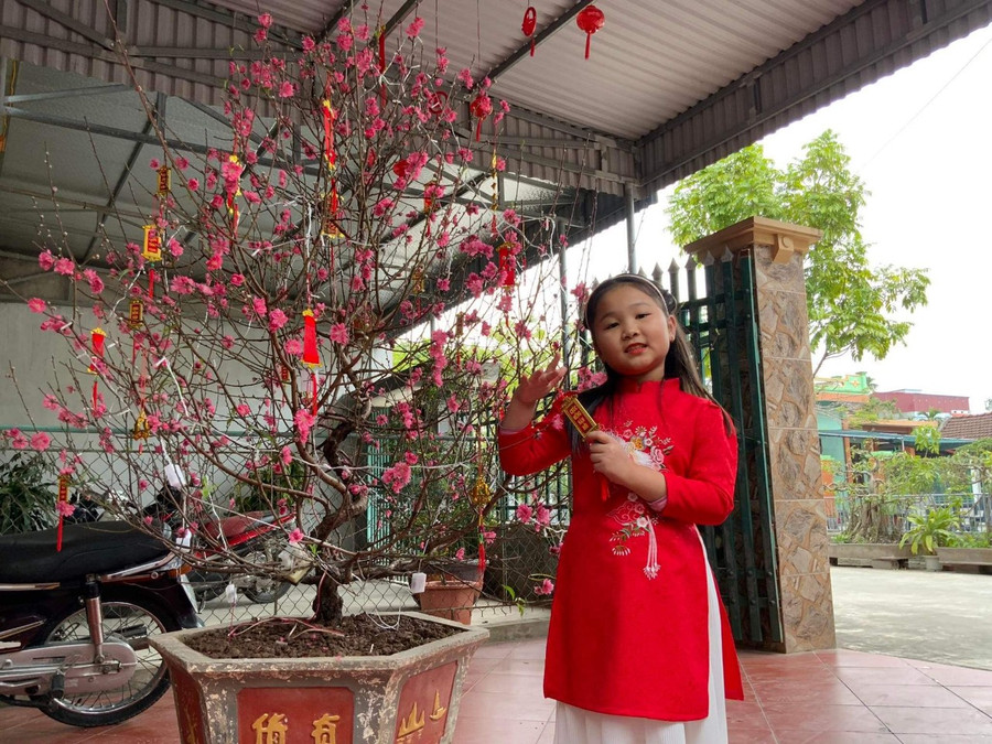 Học sinh trang trí cây đào ngày Tết tại gia đình. Học sinh trang trí cây đào ngày Tết tại gia đình.