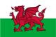 Lịch thi đấu bóng đá ngày 22/11 ảnh 25 Wales