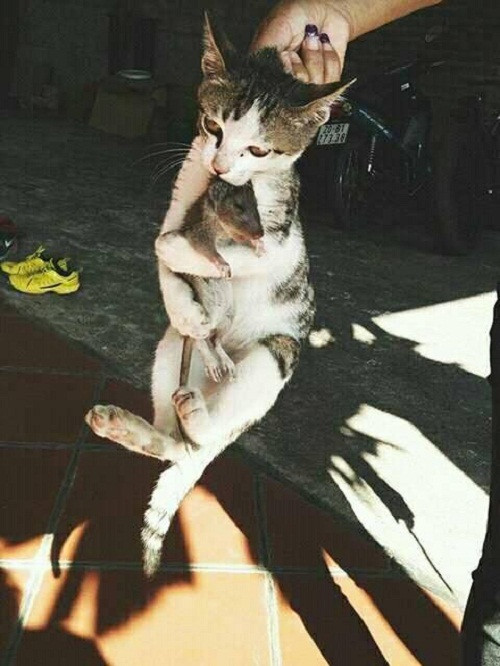 Không buông tay. Không buông tay.