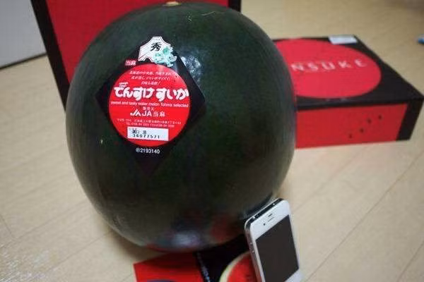 4 loại quả đắt nhất thế giới, giá bằng 1 chiếc Mercedes-Benz-3