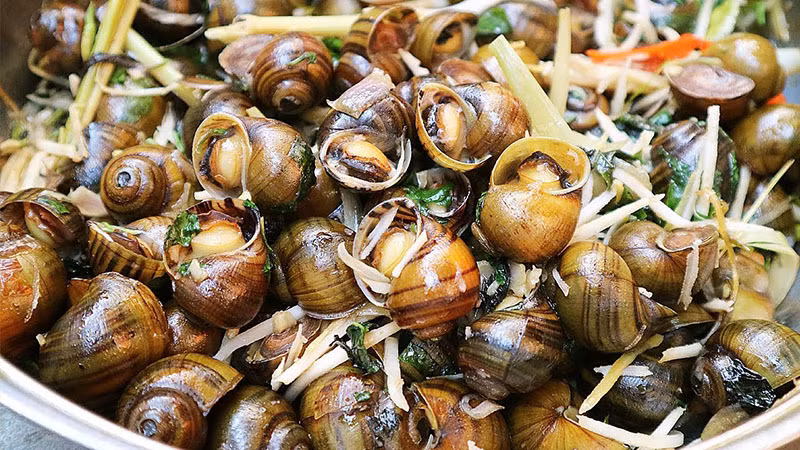 Những người này ăn ốc luộc 'cực độc', thèm đến mấy cũng nên tránh cho xa
