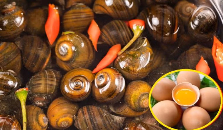 Ngâm ốc với nước vo gạo chính là phương pháp làm sạch dân gian truyền miệng lại.