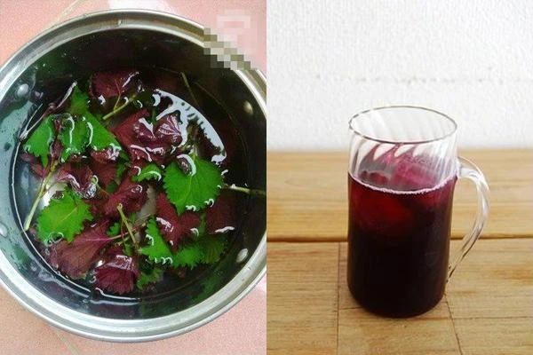 Nấu nước lá tía tô tươi với mật ong uống trước bữa ăn, điều "kỳ diệu" sẽ đến sau 7 ngày