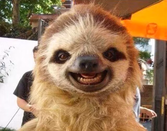 Đừng tưởng chỉ con người mới biết cười!