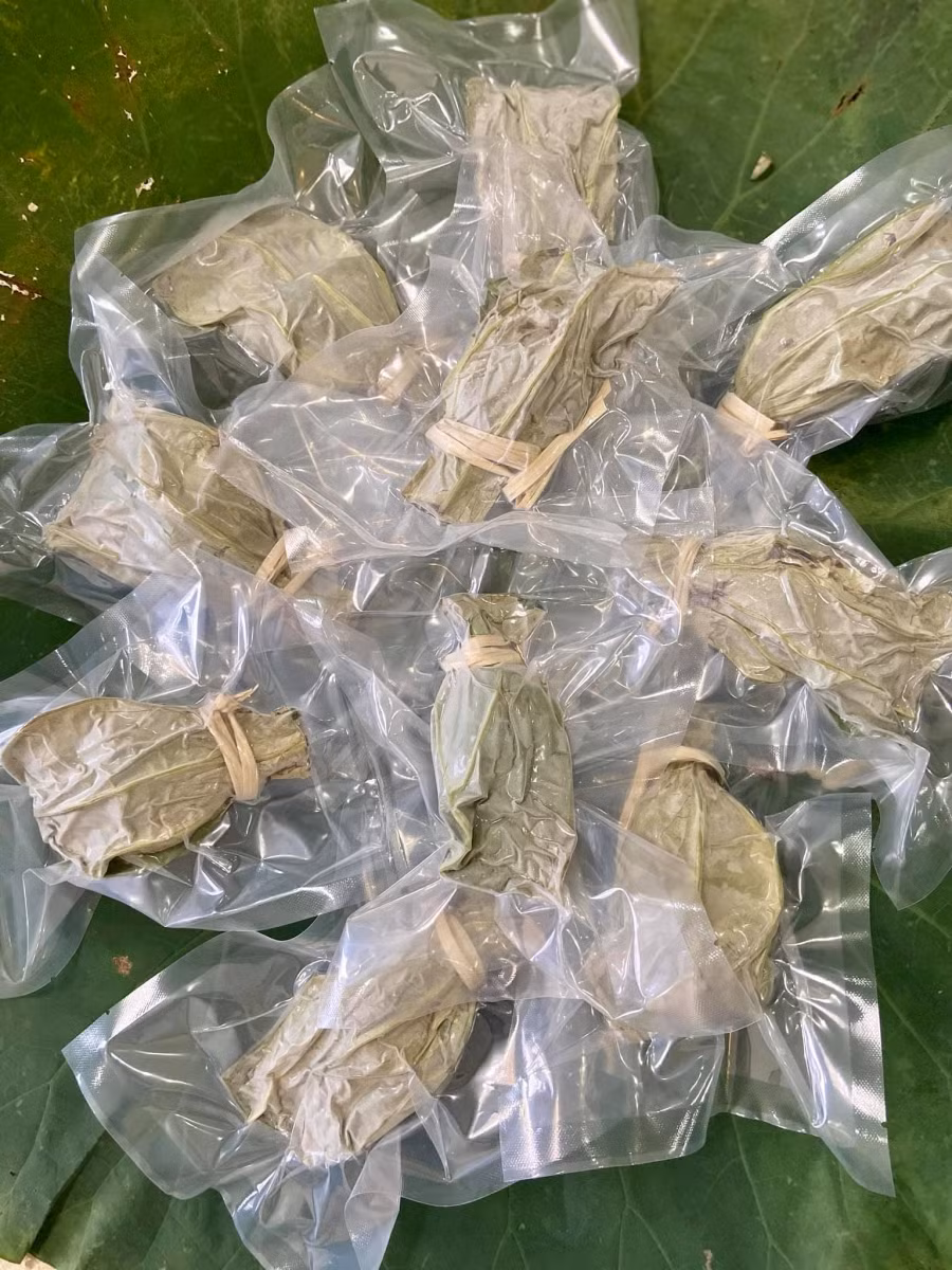 Cách ướp trà sen xổi thơm ngào ngạt ảnh 4