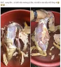 Cười nghiêng ngả với tục khảo cây và món ăn thảm họa của những cô nàng vụng về