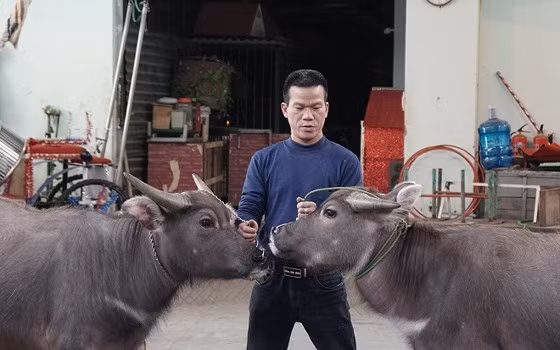 Nghệ sĩ Nguyễn Đức Tài cùng hai bạn diễn của mình