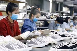 Nếu chủ động được nguồn nguyên liệu trong nước, ngành da giày sẽ tăng đóng góp đáng kể vào kim ngạch xuất khẩu.