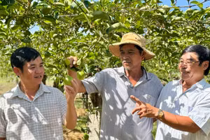 Những mô hình kinh tế phù hợp giúp người dân xã Lương Sơn nâng cao thu nhập.