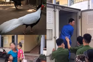 Chỉ vì thiếu hiểu biết pháp luật, ông Thái Khắc Thành đã vướng vào lao lý và nhận một cái giá không hề nhỏ.