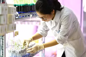 Sinh viên Trường Đại học Khoa học và Công nghệ Hà Nội.