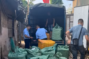 Tạm giữ 800kg thực phẩm đông lạnh không rõ nguồn gốc tại Hoàng Mai, Hà Nội